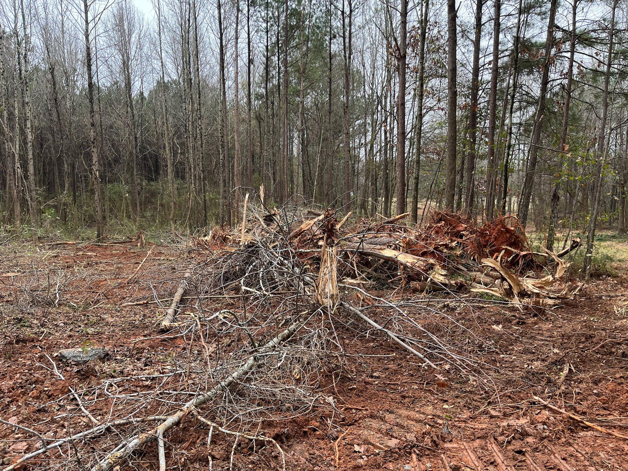 Cut limbs and branches are haphazardly piled up at Weelaunee People's Park (Intrenchment Creek Park).