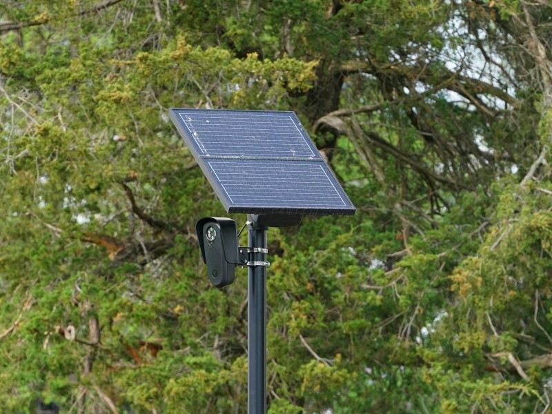 A Flock Safety Camera, which have been used to track license plates on behalf of ICE, sits center frame with a backdrop of trees.