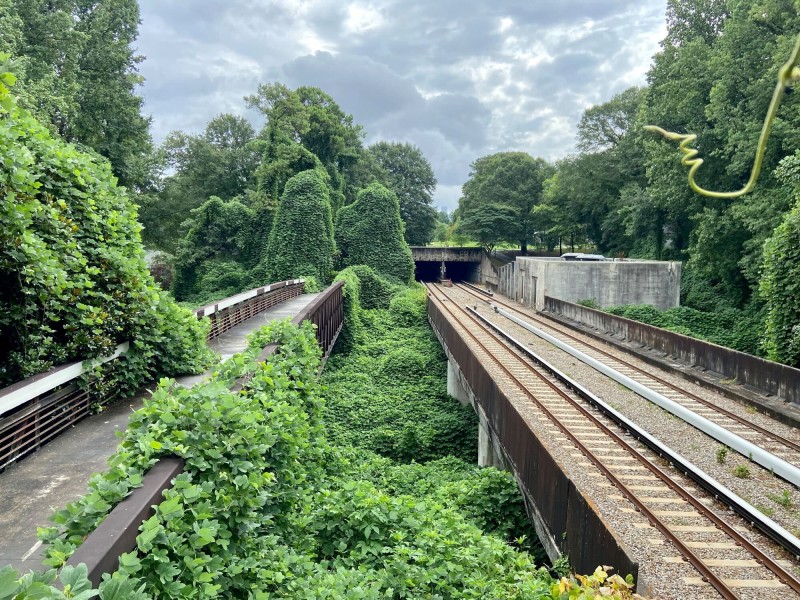 A railway and a stretch of walking path run parallel to each other. Kudzu threatens to overtake the walking path.