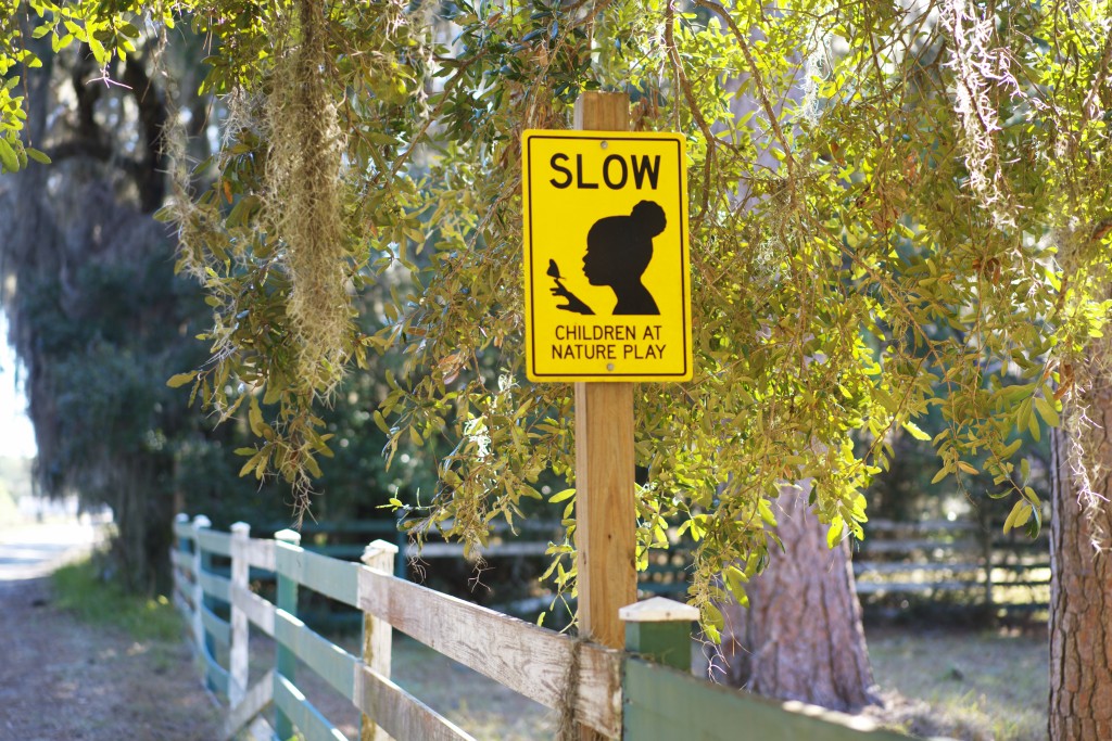 A yellow sign that features the words "SLOW" and "CHILDREN AT NATURE PLAY" with the silhouette of a child.